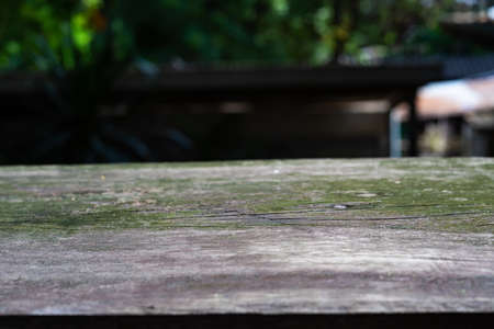 Green moss in wood textured background, Close up & Macro shot, Selective focus, Home conceptの写真素材
