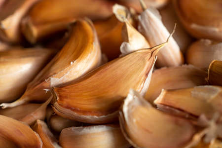 Garlic cloves group, Close up & Macro shot, Selective focus, Spicy & herb vegetable, Healthy conceptの写真素材