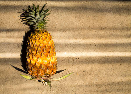 Ripe pine apple fruit on cement background, Light and shadowの写真素材