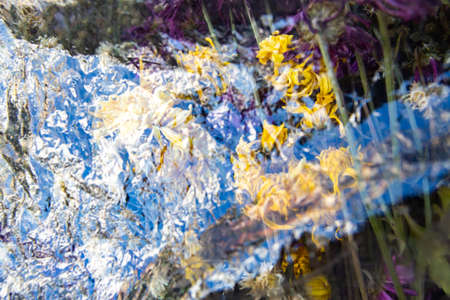 Dry flowers in plastic bags, Bamboo basket, Waste garbage, Flowers market, Close up & Macro shot, Selective focusの写真素材