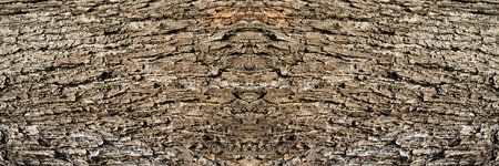 Tree surface texture background, Creative wood background