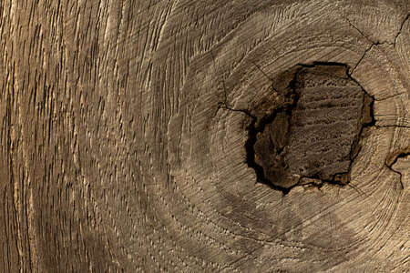 Putty wood on wooden texture background, Repaired door, Close up & Macro shot, Selective focusの写真素材