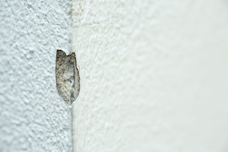 Abstract white cracked concrete texture background, Close up & Macro shot, Selective focusの写真素材