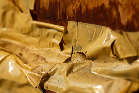 Old sticky tape on wooden texture background, Repaired window, Close up & Macro shot, Selective...