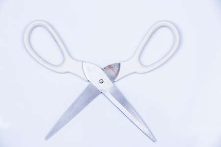 Scissors isolated on white backgroundの写真素材