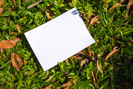 White paper on grass texture background, Creative concept