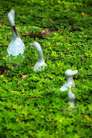 3 Ducks statue decorated in green garden, Selective focus in green garden, Selective focusの写真素材