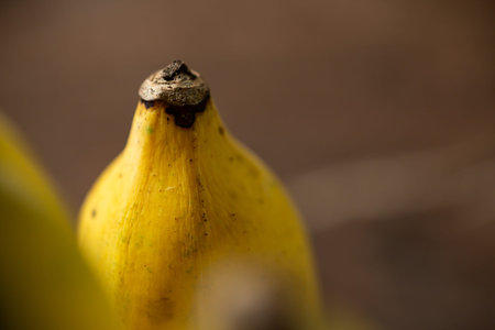 Yellow banana texture, Close up & Macro shot, Abstract background, Thai fruitの写真素材