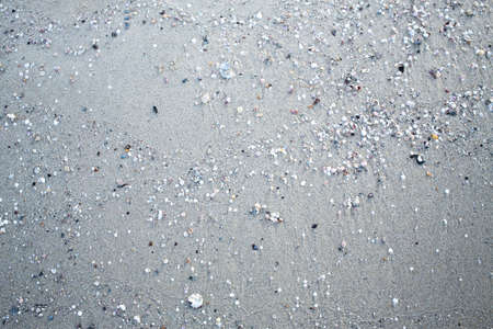Sand texture background, Sand beach with shellの写真素材