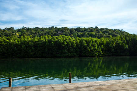 wooden pier over the riverの写真素材