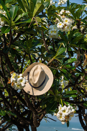 Frangipani flowers & hat on beach