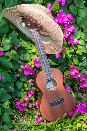 Ukulele guitar & hat in bougainvillea gardenの写真素材