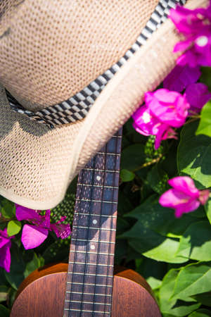 Ukulele guitar & hat in bougainvillea gardenの写真素材