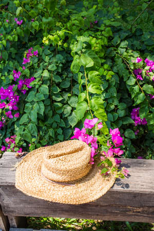 Hat in bougainvillea gardenの写真素材