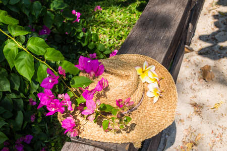 Hat in bougainvillea gardenの写真素材