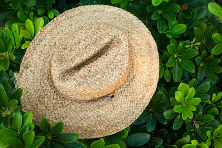 Straw hat in the gardenの写真素材