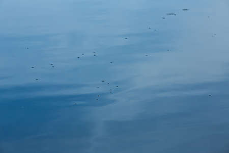 Water ripples texture background, Water reflection, Abstract Backgroundの写真素材