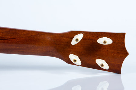 Ukulele guitar isolated on white background