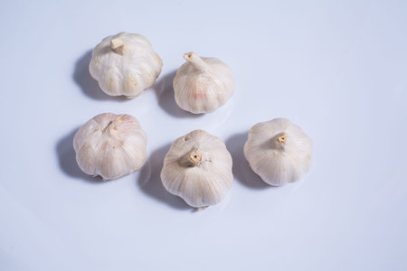 Garlic isolated on white background, Allium sativum isolated on white backgroundの写真素材
