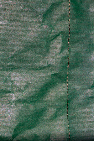 Green colour crumpled paper texture background, Gradient tone, Close up shot, Selective focusの写真素材