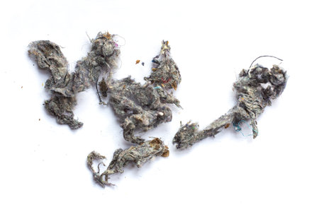 Dust, Fluff, Remnant of clothes on laundry after removing from clothing dryer on white background,...
