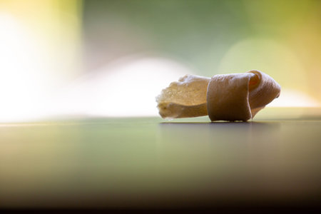 Dog bone, Ate Dog treats, Rawhide dog chews bitten on wooden table texture in bokeh green garden,...