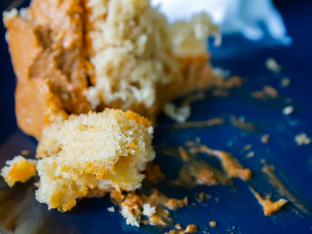 Remnants of cake on a blue plate, Close up and Macro shot, Selective focusの写真素材