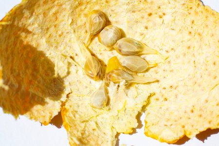 Orange fruit seeds and Orange peel on white table background, Close up shot, Selective focus,...