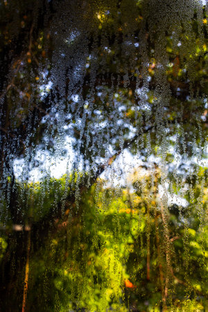 Rain drops, Water drops on mirror window in bokeh green garden background, Selective focus, About...
