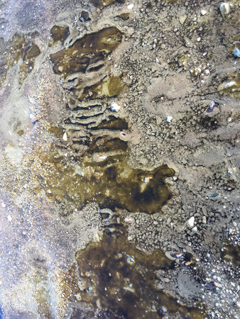 Dirty Sea, Pollution of environment