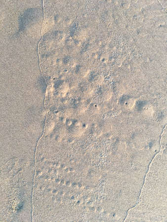 Circle and hole pattern in sand  beach texture, Crab nest, Abstract background conceptの写真素材