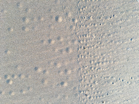 Circle and hole pattern in sand  beach texture, Crab nest, Abstract background concept