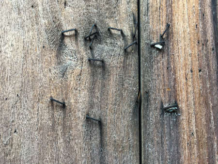 Rusty staples on Old planked wood texture background, Brown colour, Vintage wooden wallの写真素材