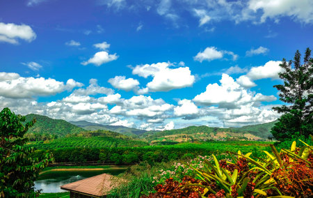Fresh View From Nature