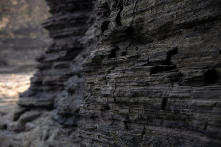 The surface of sedimentary rock at the seaside cliff, showing the geological pattern. Geological...