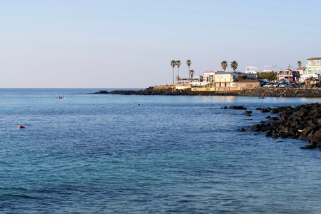 Photo Picture of the Beautiful Ocean Coast's View in Jeju Island, South Korea