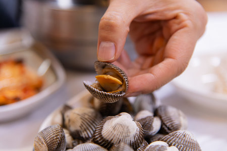 Close-up of a fresh clam on handの写真素材