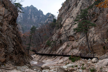 landscape at Autumn Valley in Seolak Mountain, South Koreaの写真素材