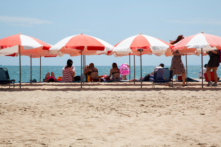 Beach umbrellas and sunbeds on the sandy beachの写真素材