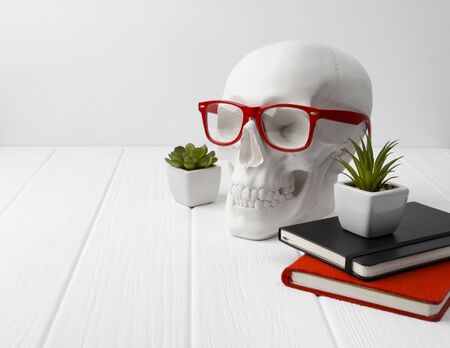Gypsum human skull in red glasses with notepads and plants at white wooden table. Forensic science and anatomy concept.の写真素材