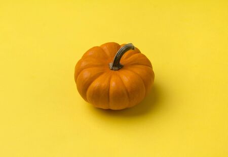 Autumn composition. Pumpkin on yellow background. Fall halloween concept.の写真素材
