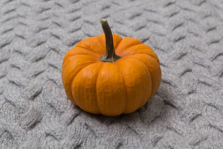 Texture of gray knitted fabric close up with pumpkin. Wool knitwearの写真素材