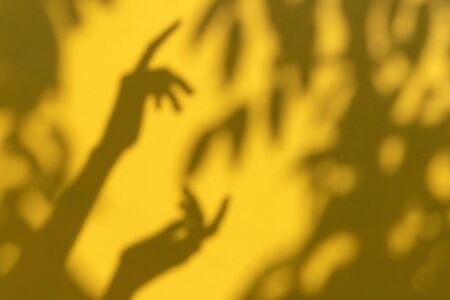 Summer background with branch leaves shadows on a yellow wallの写真素材