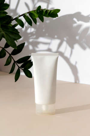 Bottles of cosmetic cream on beige background in sunlight with shadows of leaves. Minimal style cosmetics templateの写真素材