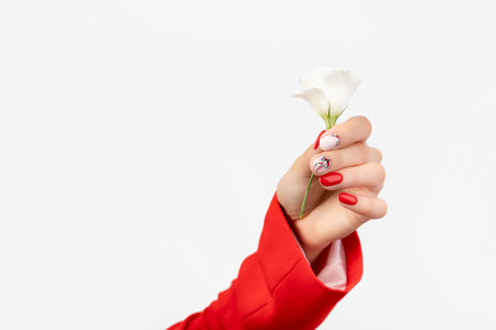 Womans hand with a flower on gray backgroundの写真素材