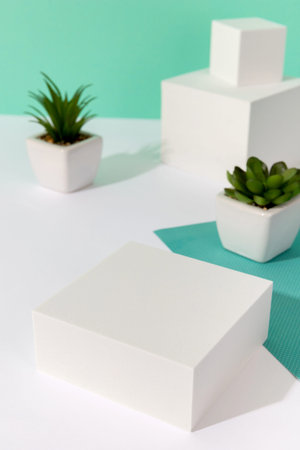 Abstract background mock up with podium for product display and house plants