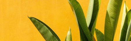 Exotic tropical green leafs near yellow wall