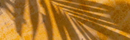 Creative tropical leaf shadow on yellow wall backgroundの写真素材