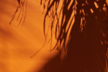 Tropical shadow on the orange wall. Minimal summer travel background