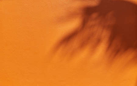 Tropical shadow on the orange wall. Minimal summer travel backgroundの写真素材